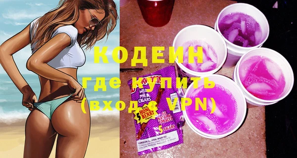 амф Гусь-Хрустальный