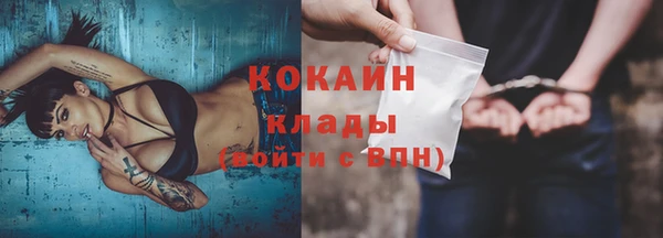 ALPHA PVP Покров