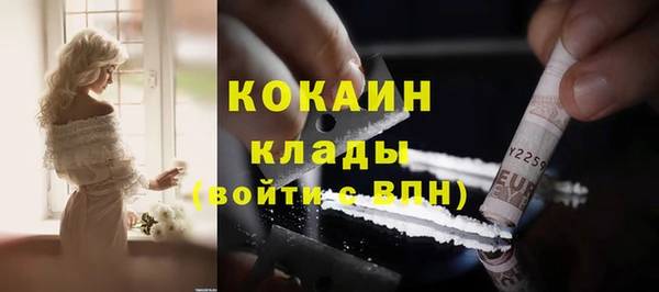 амф Гусь-Хрустальный