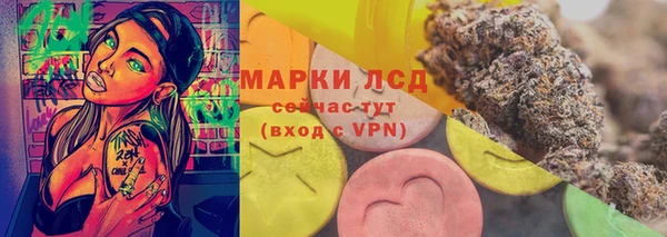 СК Горно-Алтайск