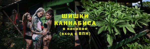СК Горнозаводск