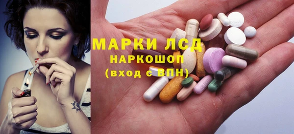 СК Горнозаводск