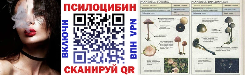 Галлюциногенные грибы мицелий  дарнет шоп  Гусь-Хрустальный 