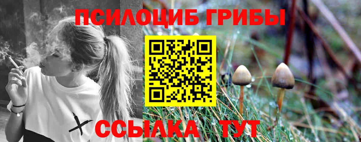 Галлюциногенные грибы GOLDEN TEACHER  купить наркотик  Гусь-Хрустальный  Вход с VPN 