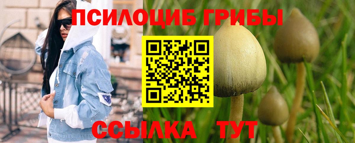 Галлюциногенные грибы GOLDEN TEACHER Гусь-Хрустальный
